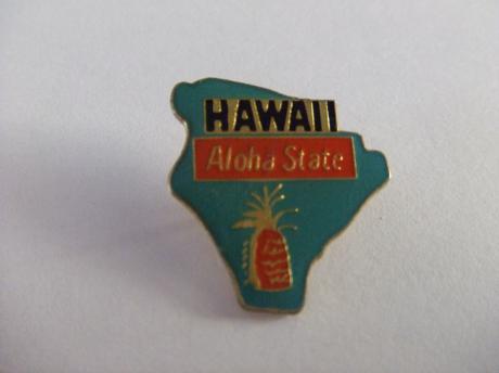 Hawaii Aloha State